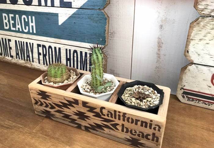 Piece Style プロはこうする 西海岸 カリフォルニアスタイルのインテリアにグリーンを活用する方法